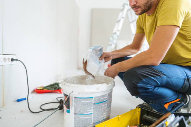 Best Black Mold Removal  in Newburgh Heights, OH
