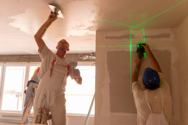 Best Mold Damage Restoration  in Newburgh Heights, OH